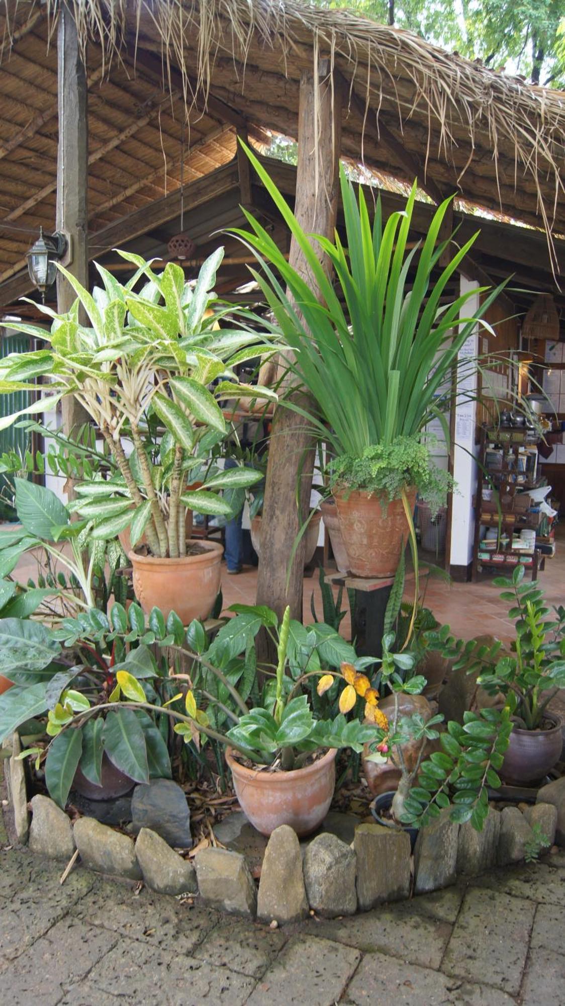 Mut Mee Garden Guest House Nong Khai Dış mekan fotoğraf
