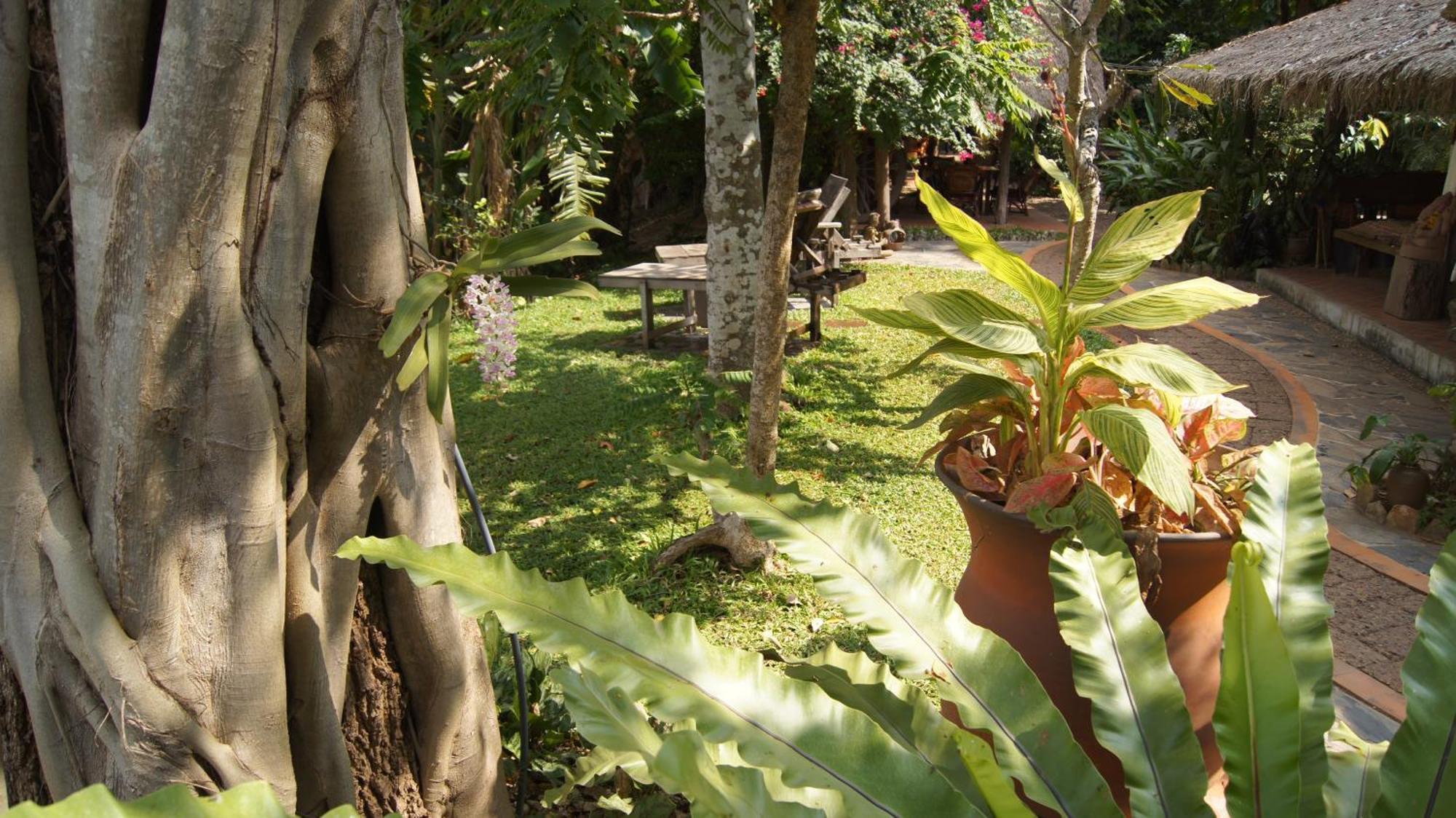 Mut Mee Garden Guest House Nong Khai Dış mekan fotoğraf