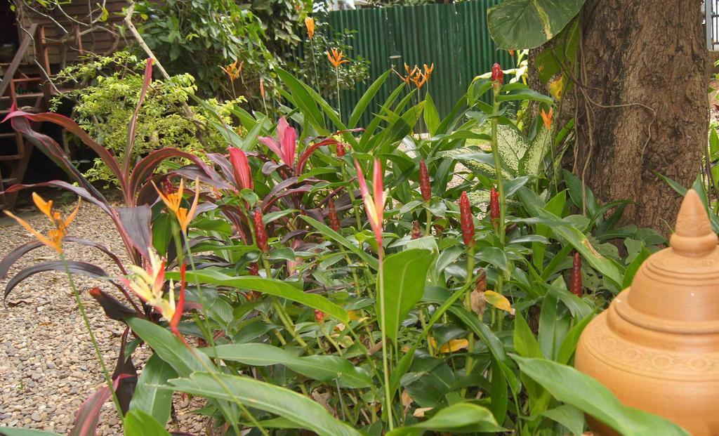 Mut Mee Garden Guest House Nong Khai Dış mekan fotoğraf