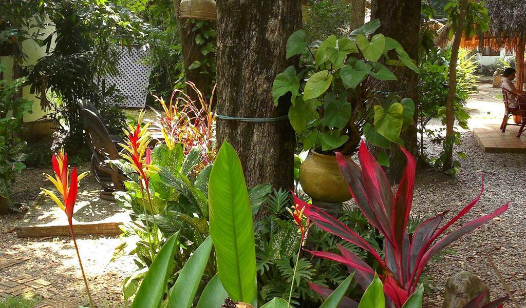 Mut Mee Garden Guest House Nong Khai Dış mekan fotoğraf